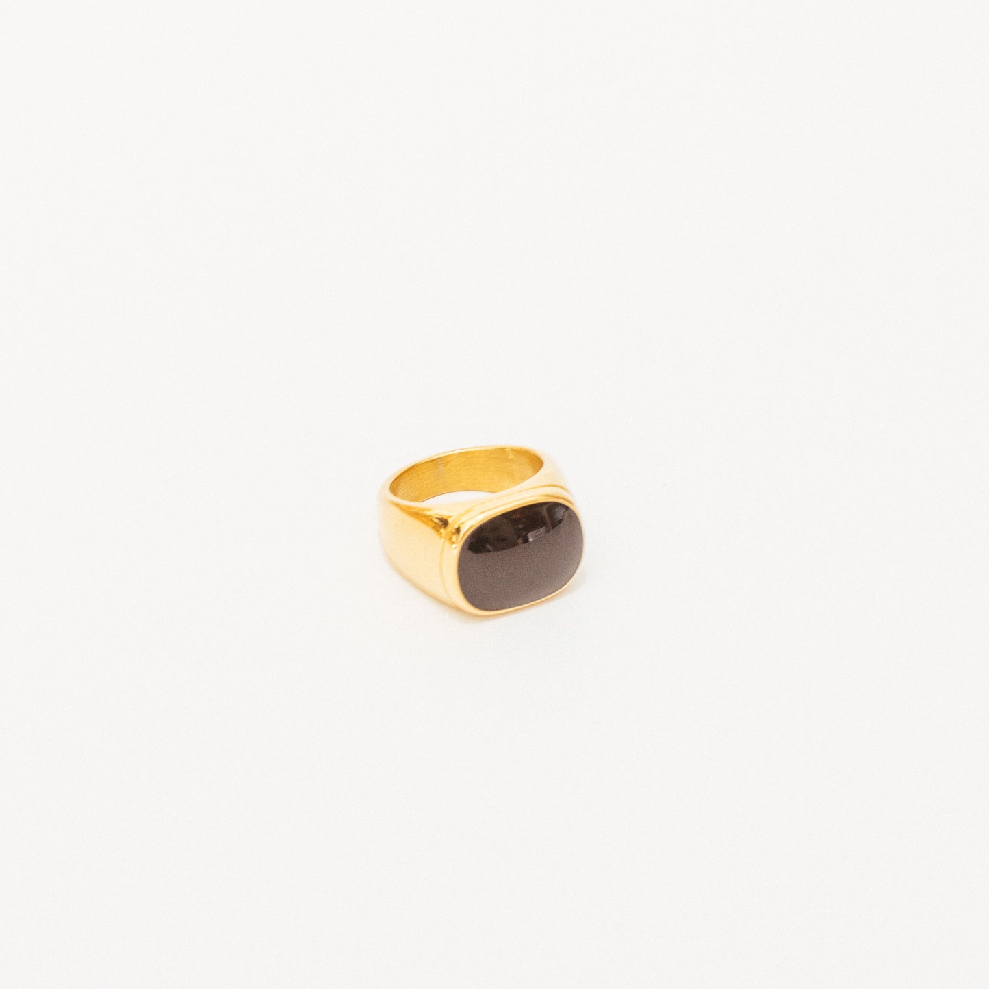 We Are Emte- Onyx Signet Ring in Gold Plated