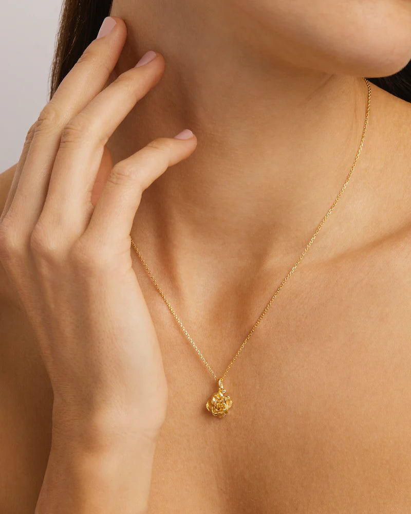 By Charlotte -  Rose June Birth Flower Necklace in Gold