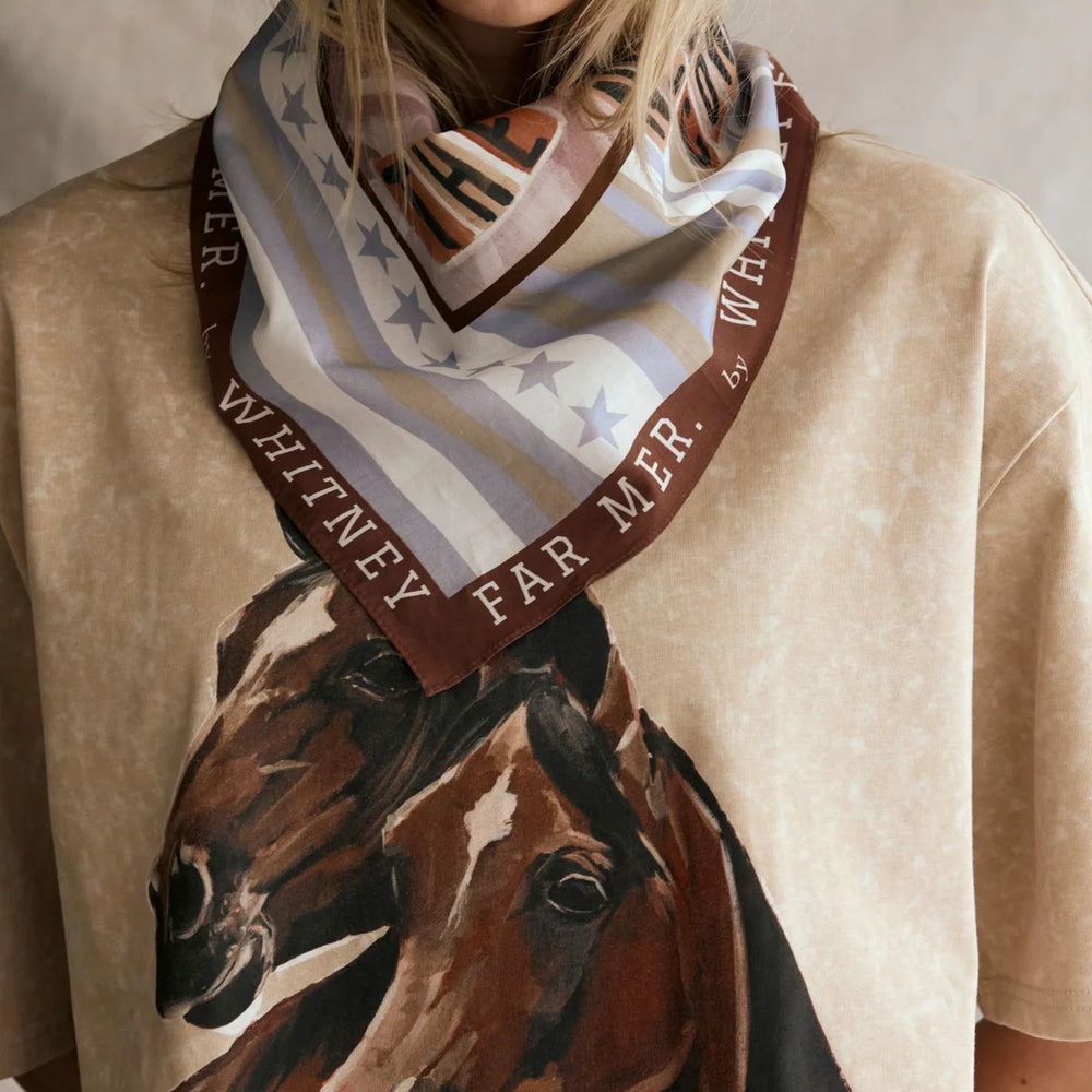 Far Mer by Whitney - Stars & Stripes Silk Scarf