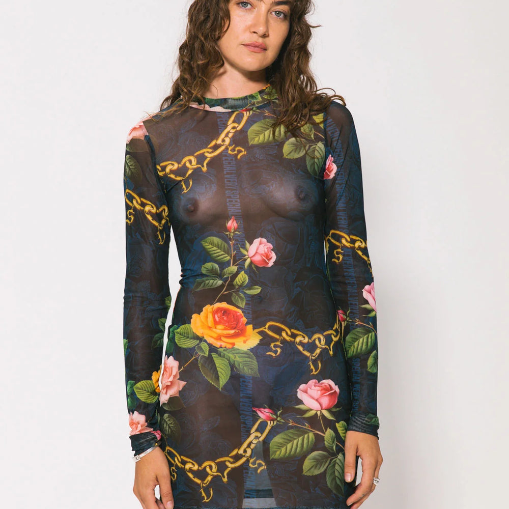 Something Very Special - Chains and Roses Long Sleeve Mesh Mini Dress