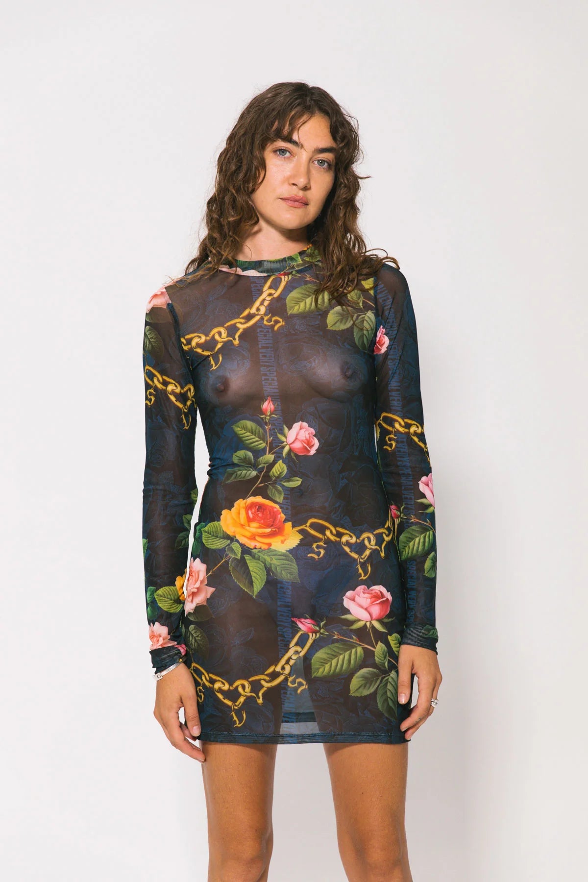 Something Very Special - Chains and Roses Long Sleeve Mesh Mini Dress