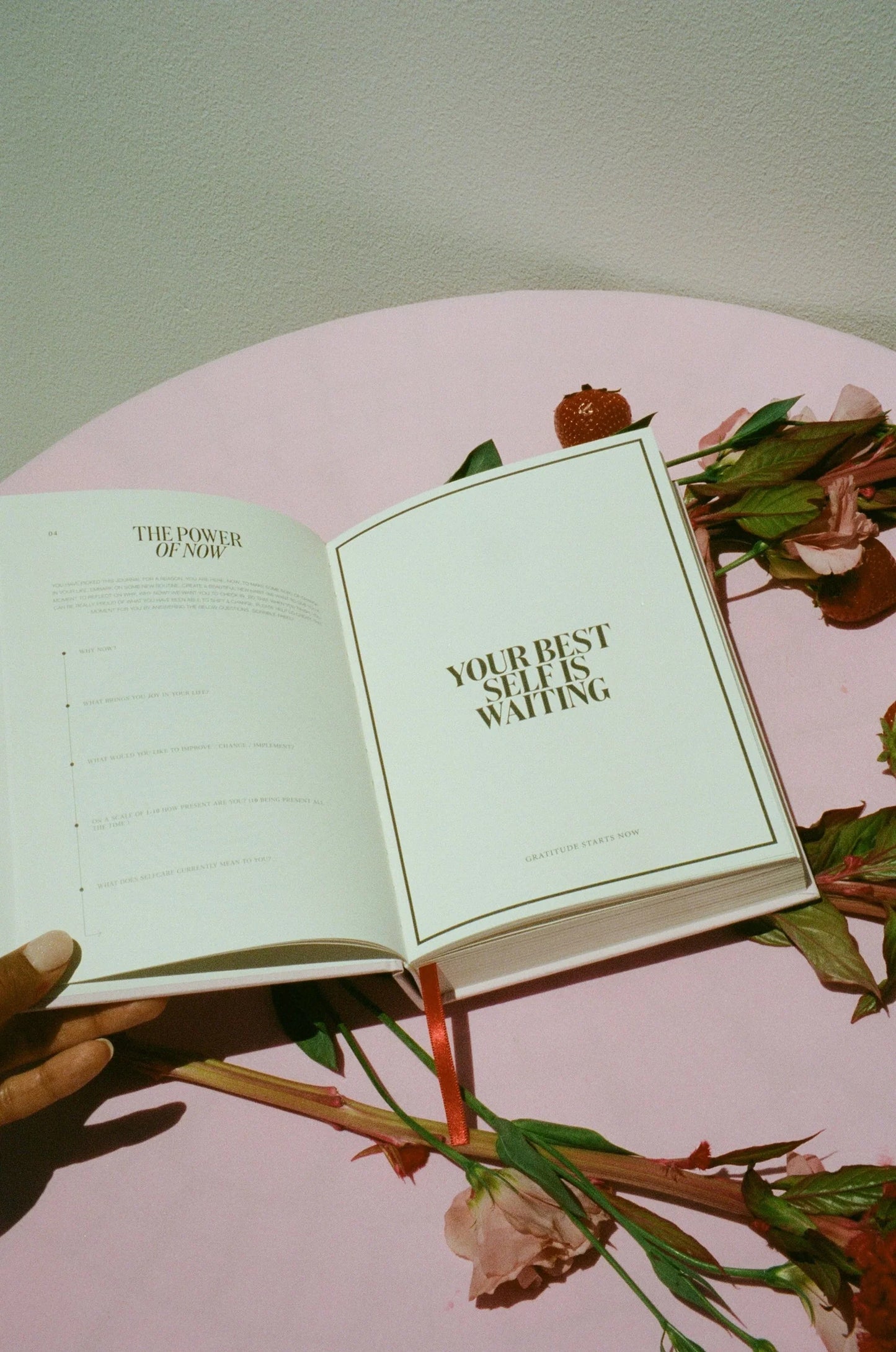 selfdom - Gratitude Journal in Baby Pink