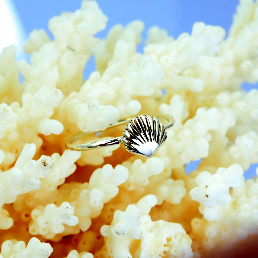 THE SEASHELL SILVER RING 3